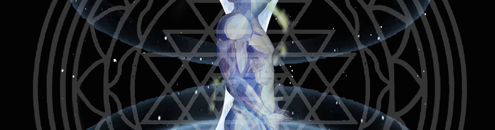 Corpo como Campo Informacional